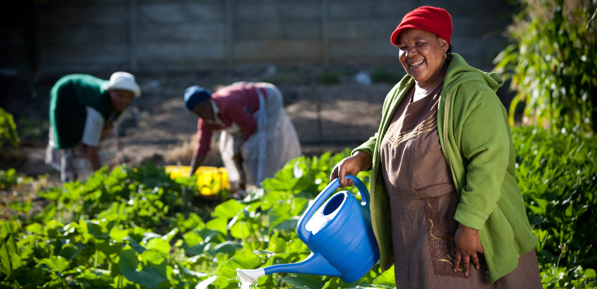 Safford Equipment Sale -Safford Equipment Sale cropped MaKaba watering can 5